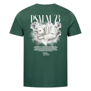 Psalm 23 Streetwear Shirt Backprint