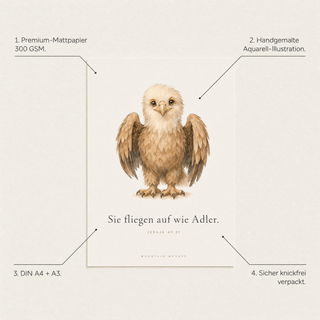 Kinderposter Adler Produktvorteile - 300 GSM, A4, Aquarell, knickfrei verpackt