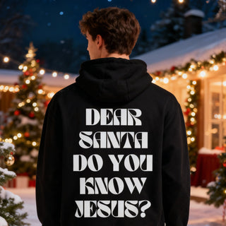 Dear Santa Christmas Hoodie Backprint