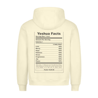 Yeshua Facts Hoodie BackPrint